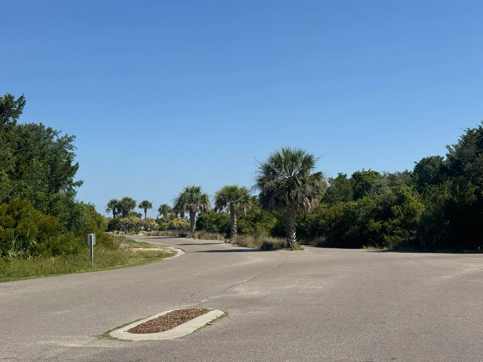 Wide beach-access road cul-de-sac with palms and dune line