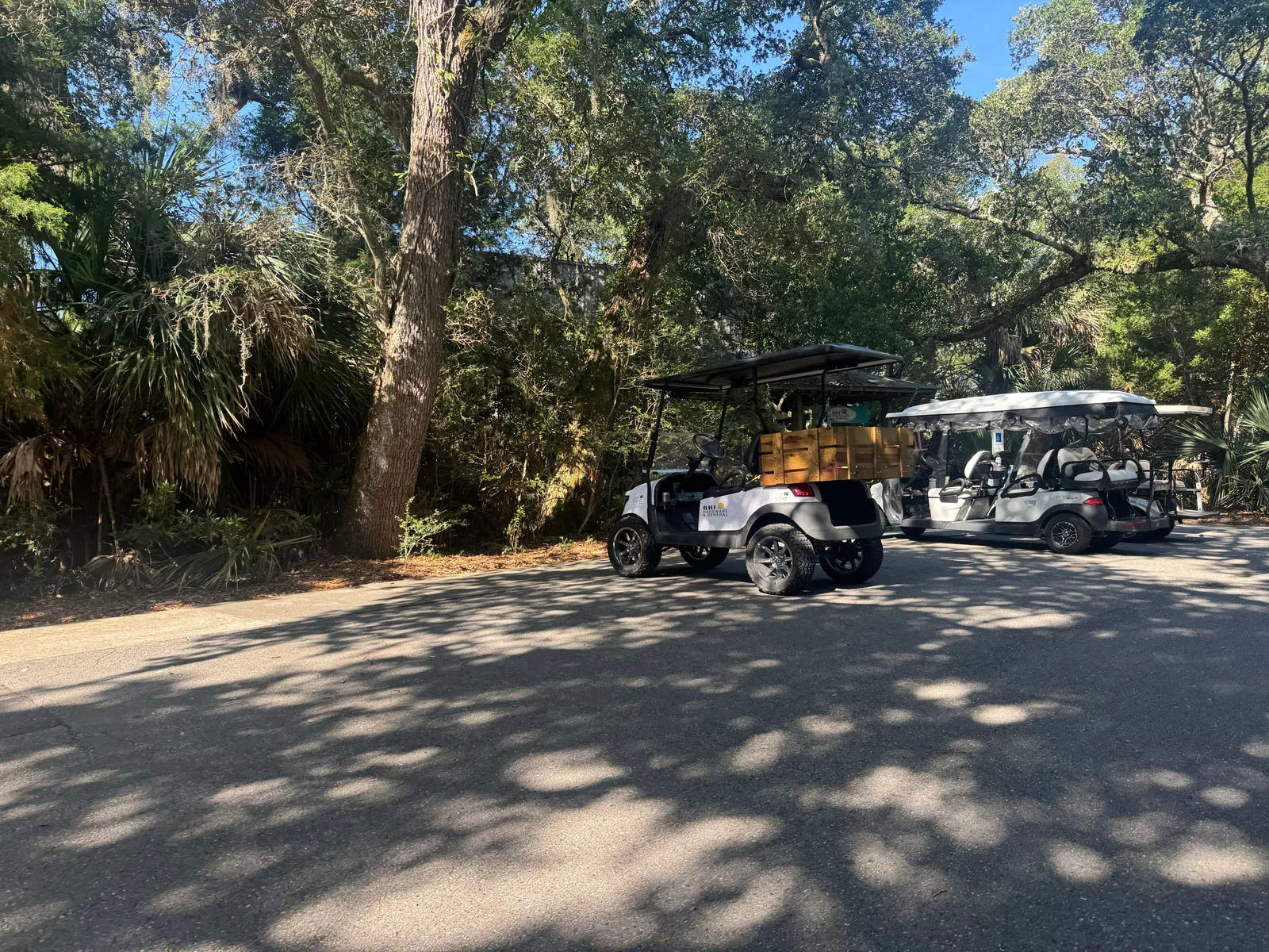 Golf carts on shaded maritime forest road