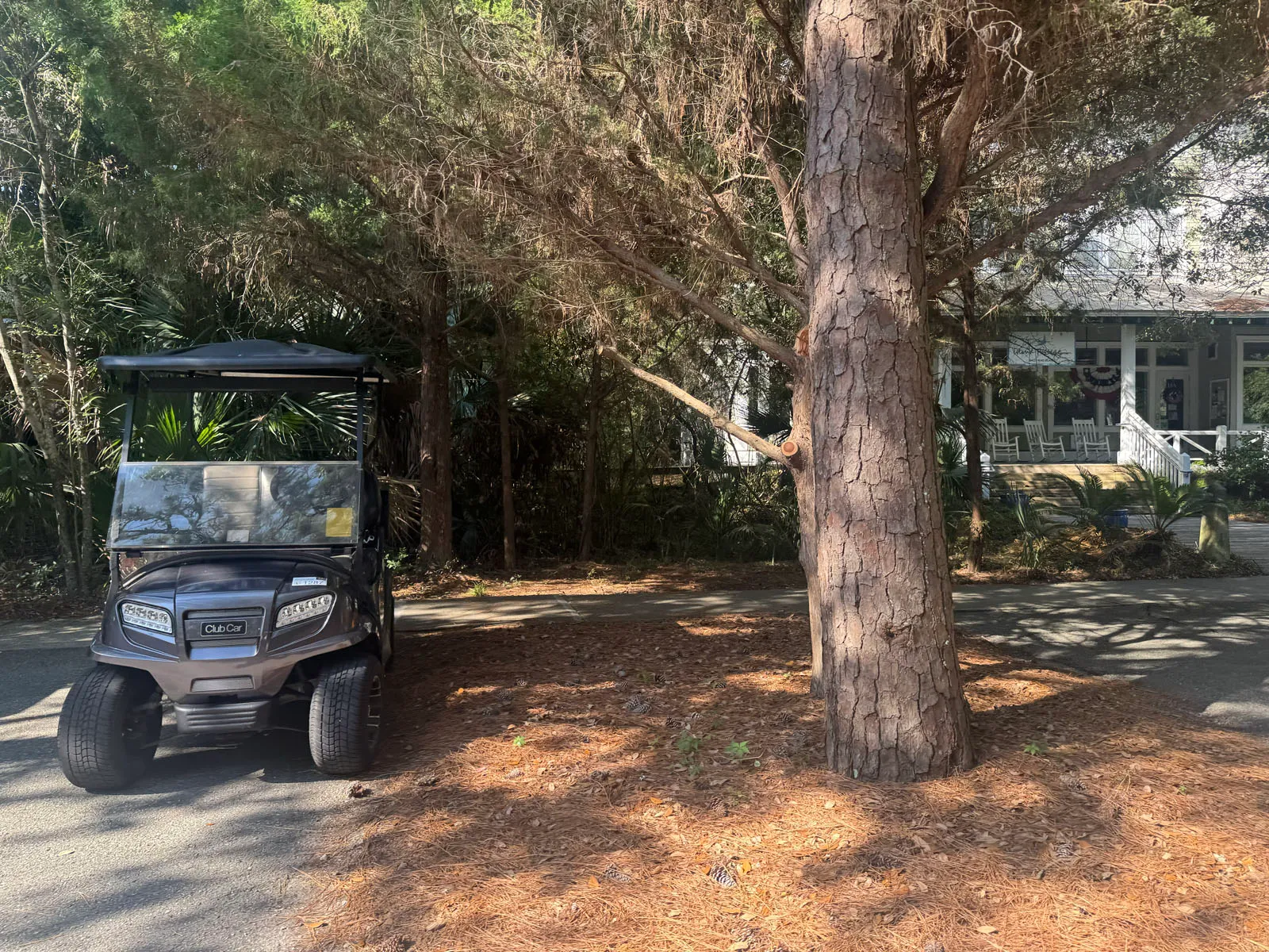 Parked golf cart under pines beside a cottage