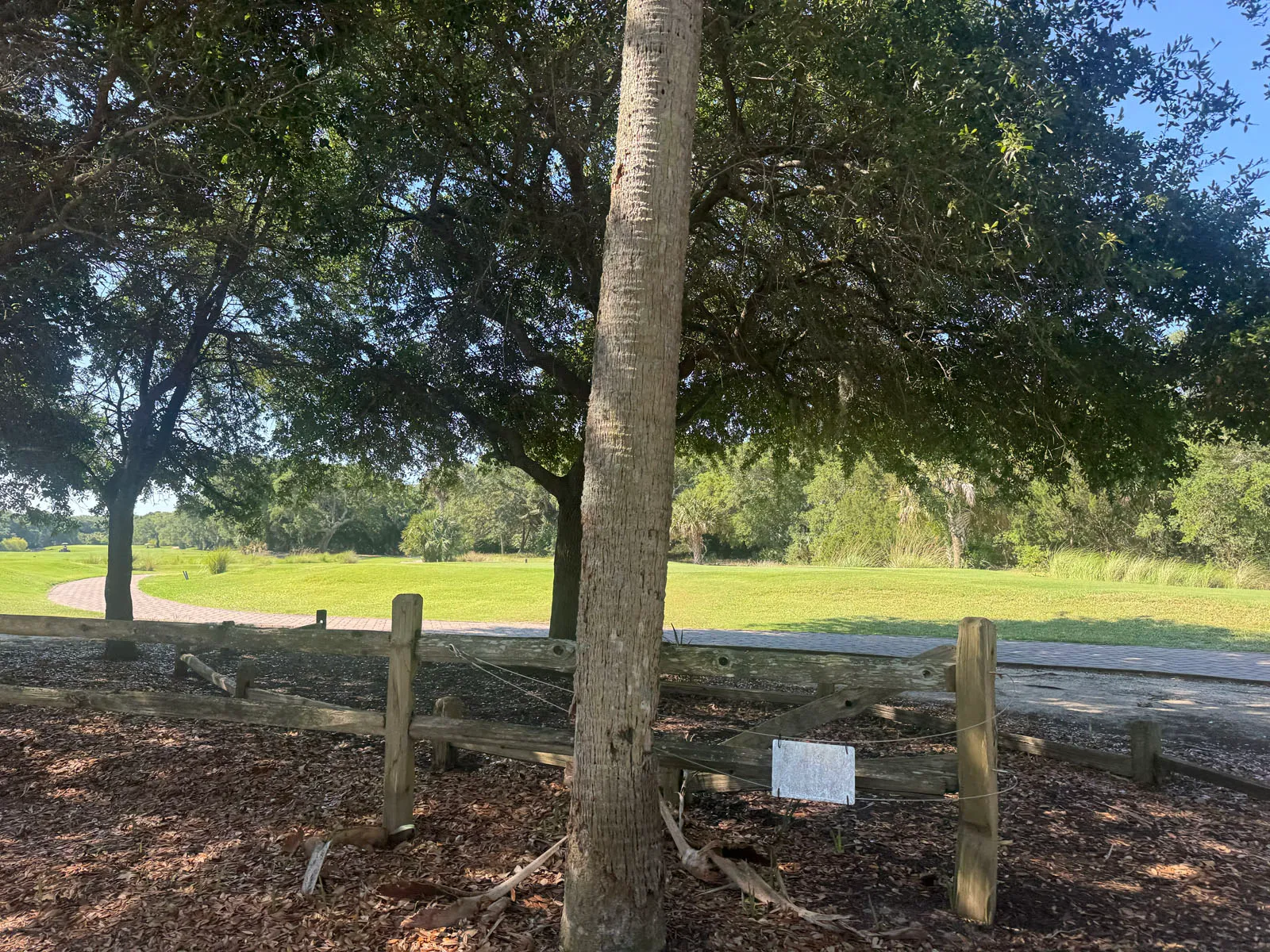 Golf course green framed by trees and split-rail fence