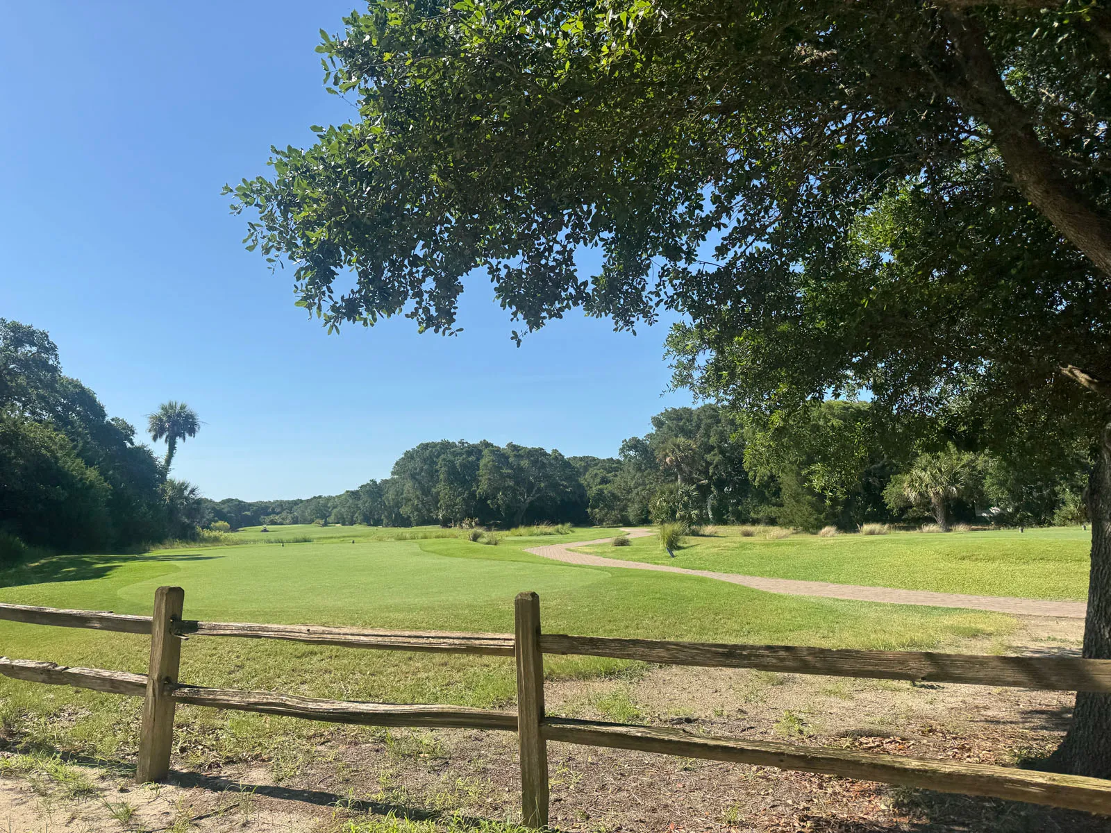 Open golf fairway under blue sky framed by oak