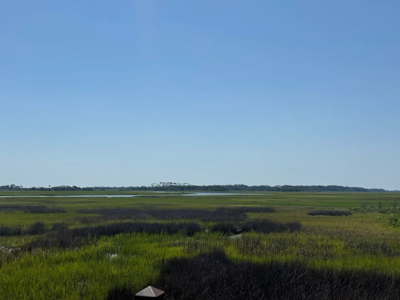 Expansive salt marsh with tidal creeks under blue sky