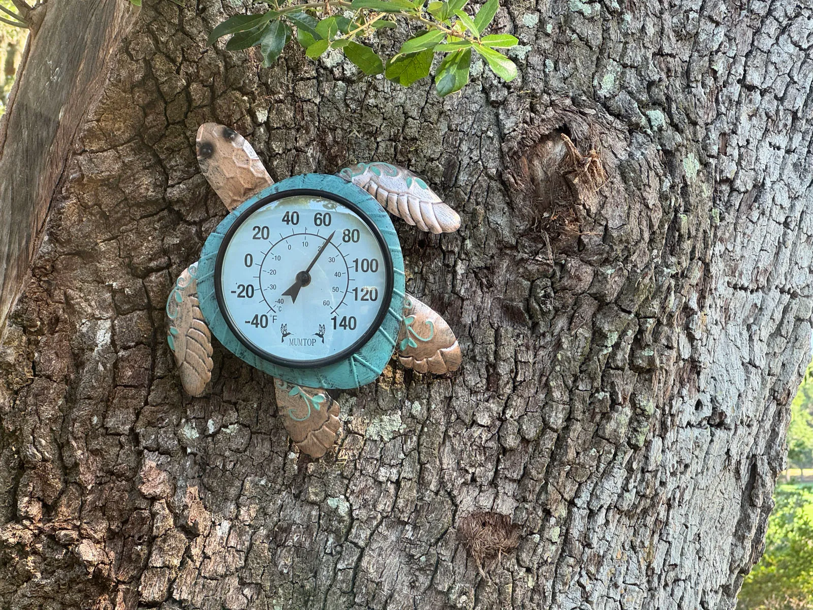 Decorative turtle-shaped thermometer on tree bark
