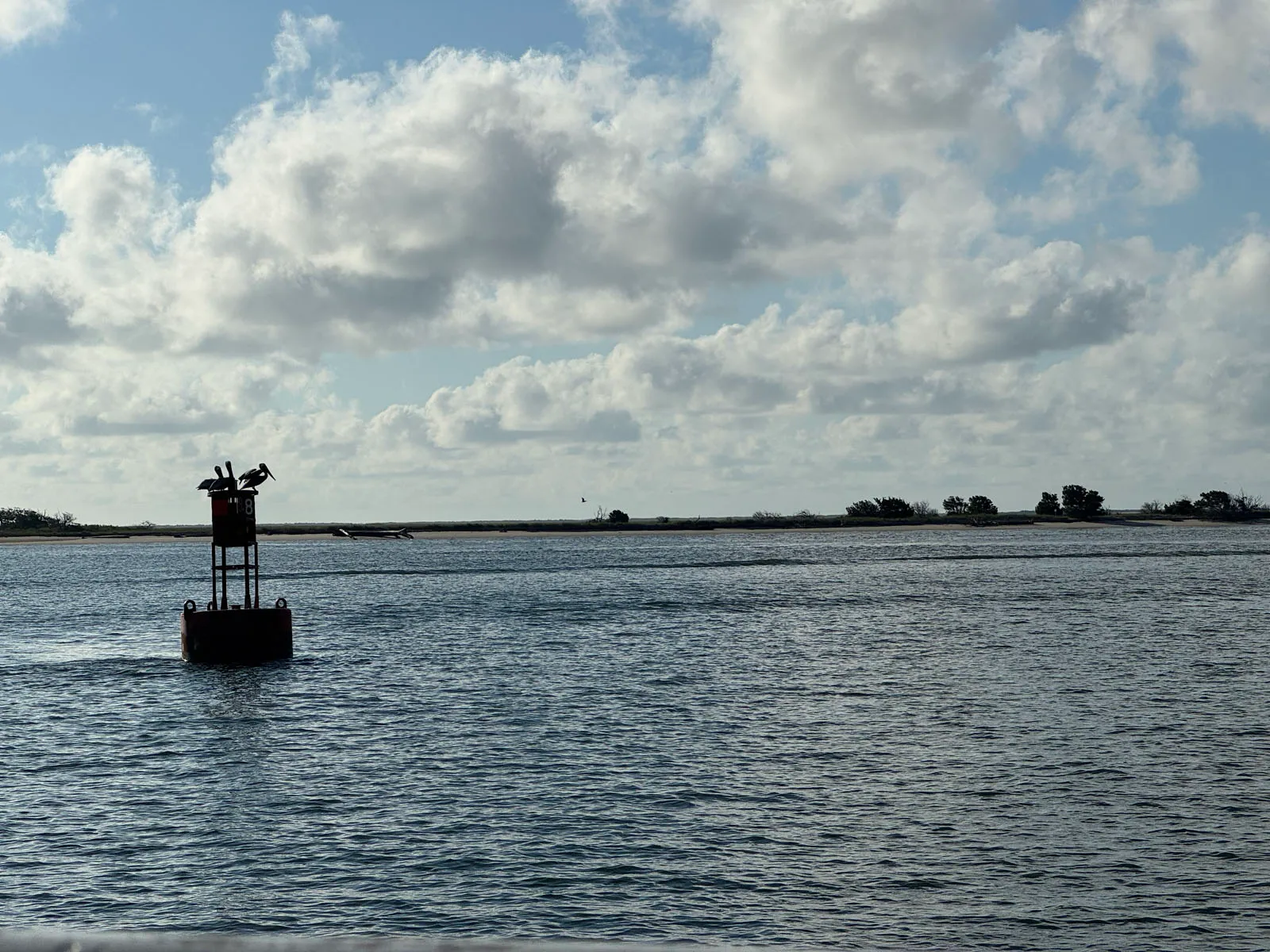 Pelicans perched on channel marker buoy over sound