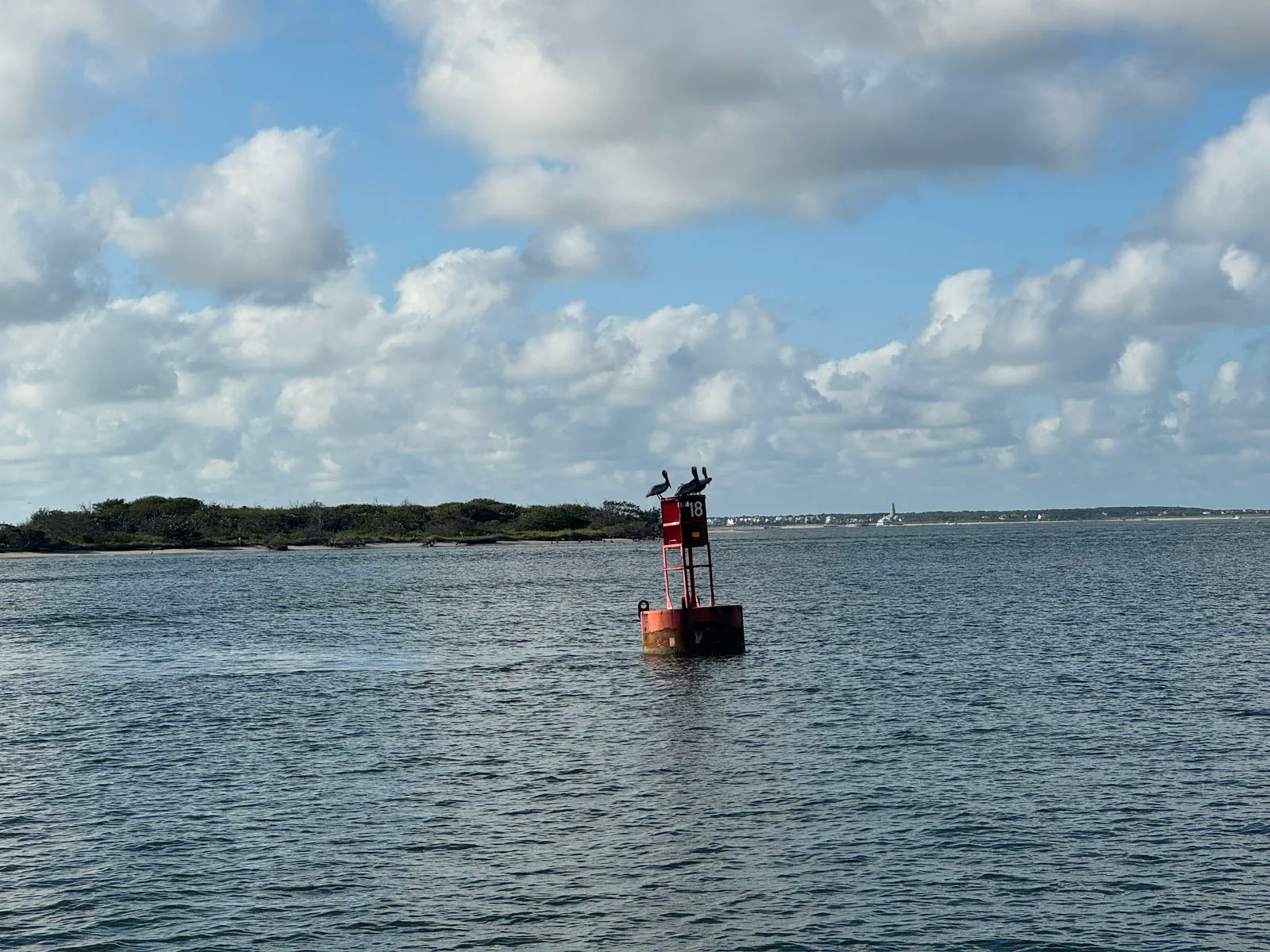 Pelicans perched on red channel marker buoy number 18
