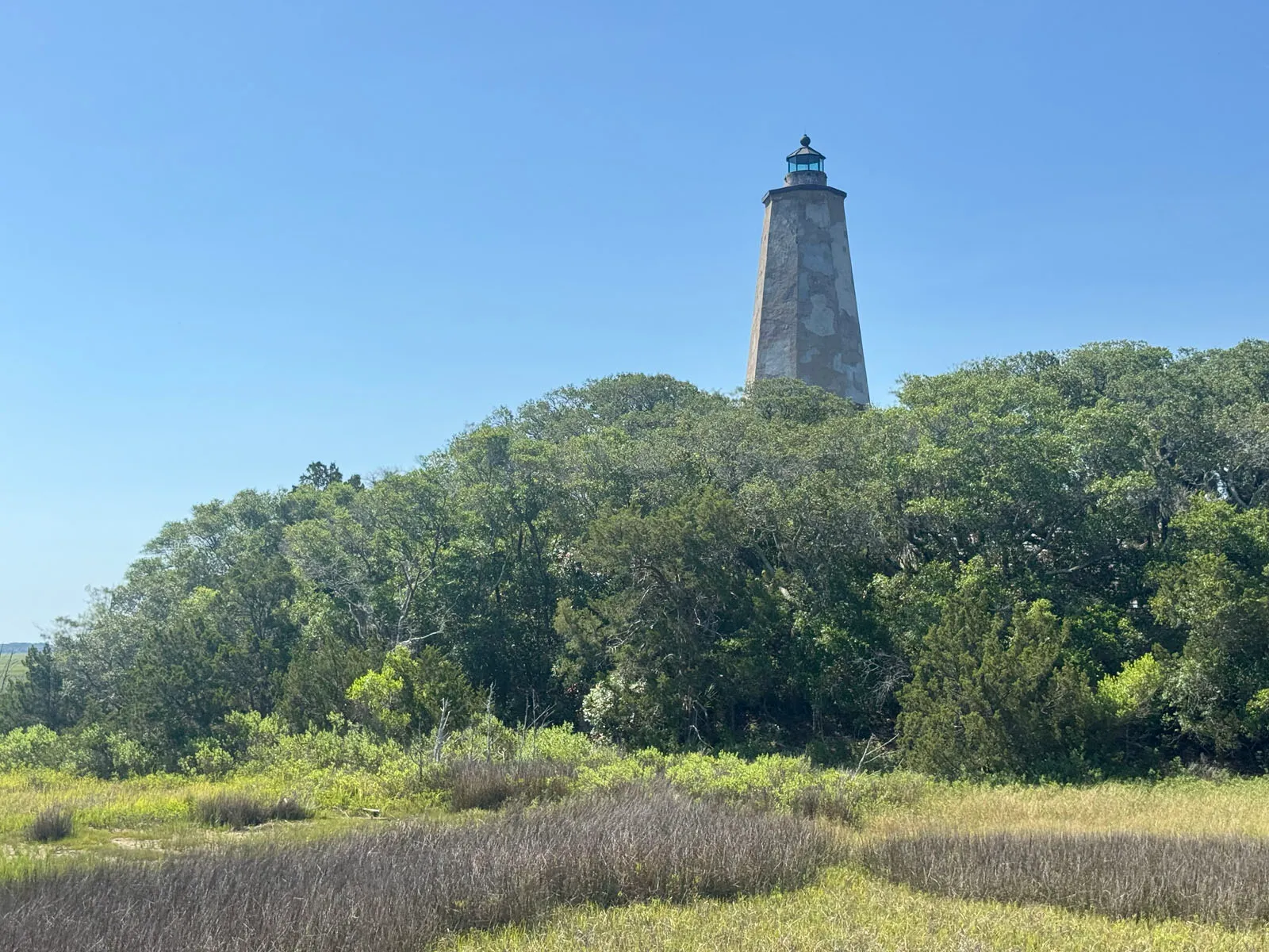 Old Baldy lighthouse rising above maritime forest canopy