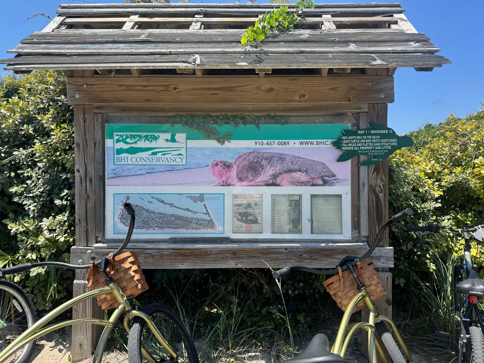 BHI Conservancy sea turtle information kiosk