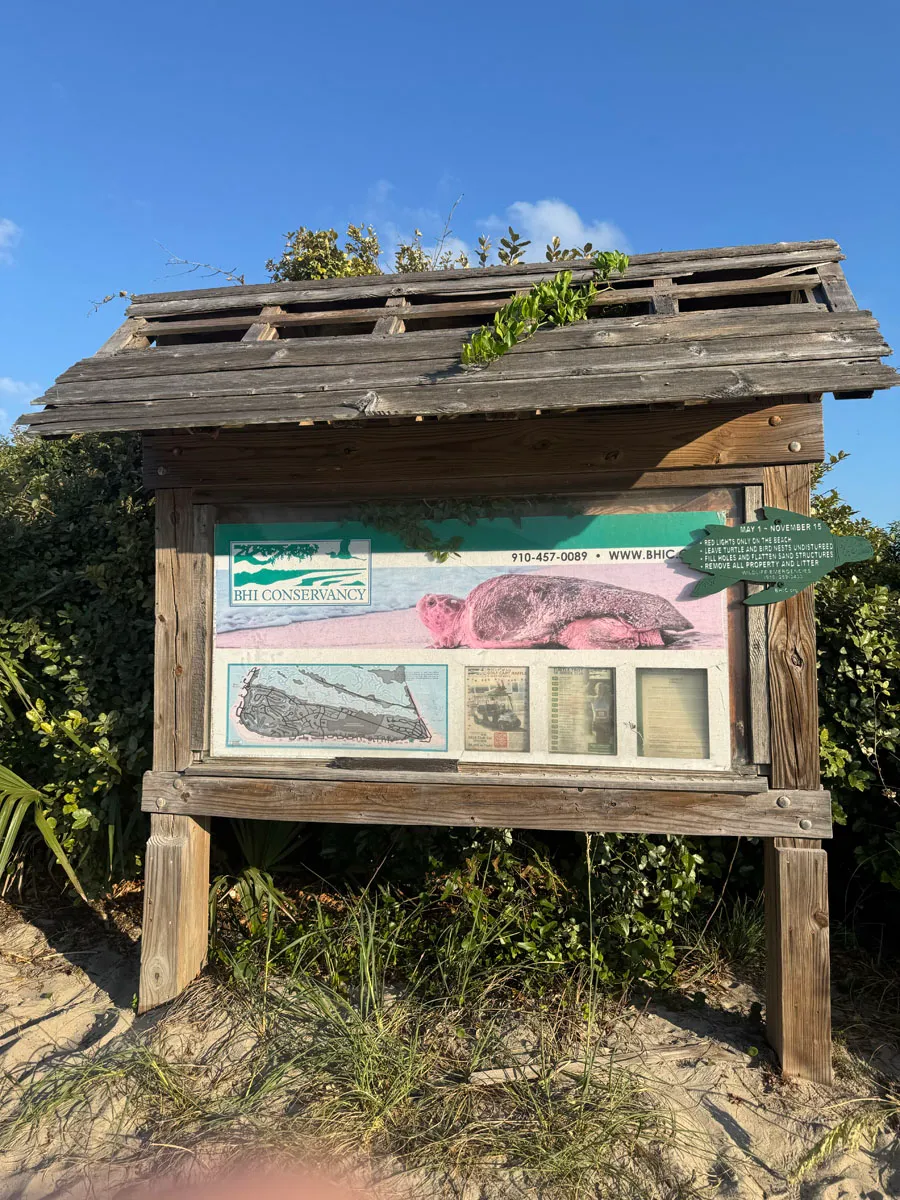 Turtle nesting rules posted at Access 42